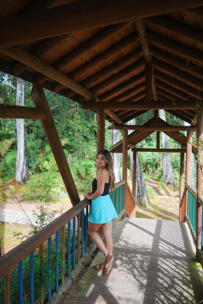 Dsc03004 682x1024